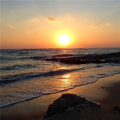 LOL外围官网下载手机版