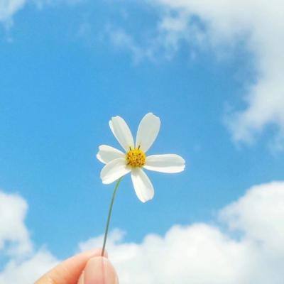 半岛官方网站下载