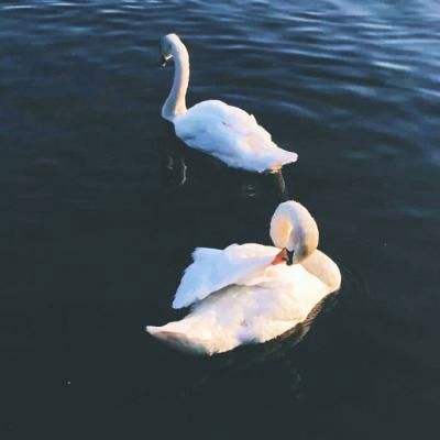 leyu·乐鱼体育手机app下载