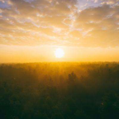 半岛官方登录地址