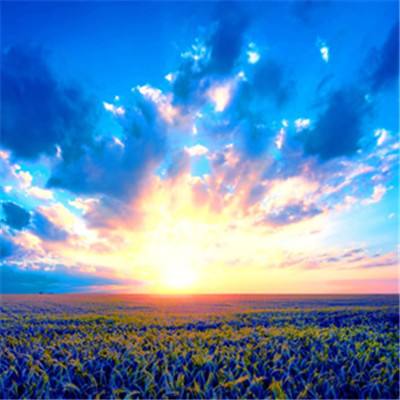 b体育官方下载入口手机版