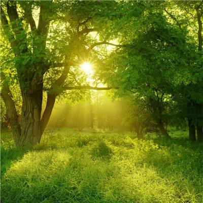 威斯尼斯入wns888入口中国